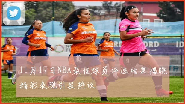 11月17日NBA最佳球员评选结果揭晓精彩表现引发热议