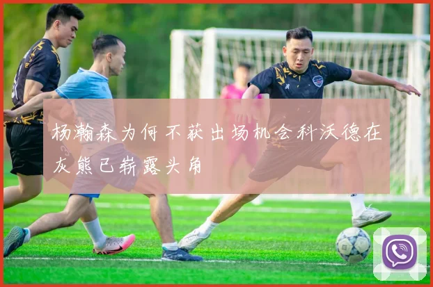杨瀚森为何不获出场机会科沃德在灰熊已崭露头角