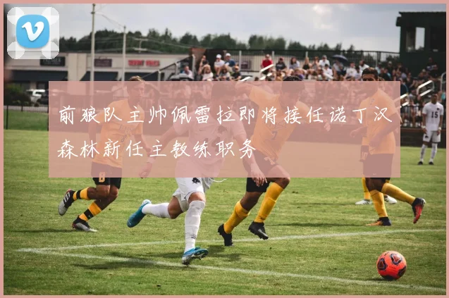 前狼队主帅佩雷拉即将接任诺丁汉森林新任主教练职务