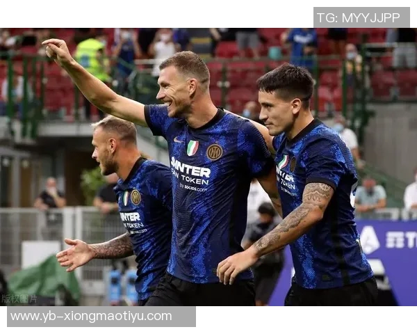 前意甲裁判解析国米点球判罚与帕夫洛维奇黄牌的合理性